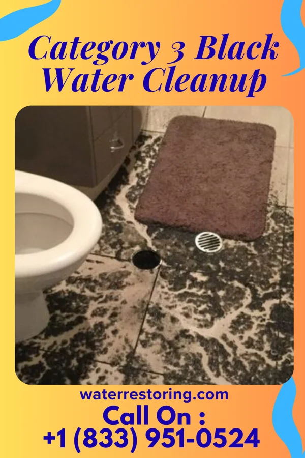 Category 3 Black Water Cleanup in Springer, OK