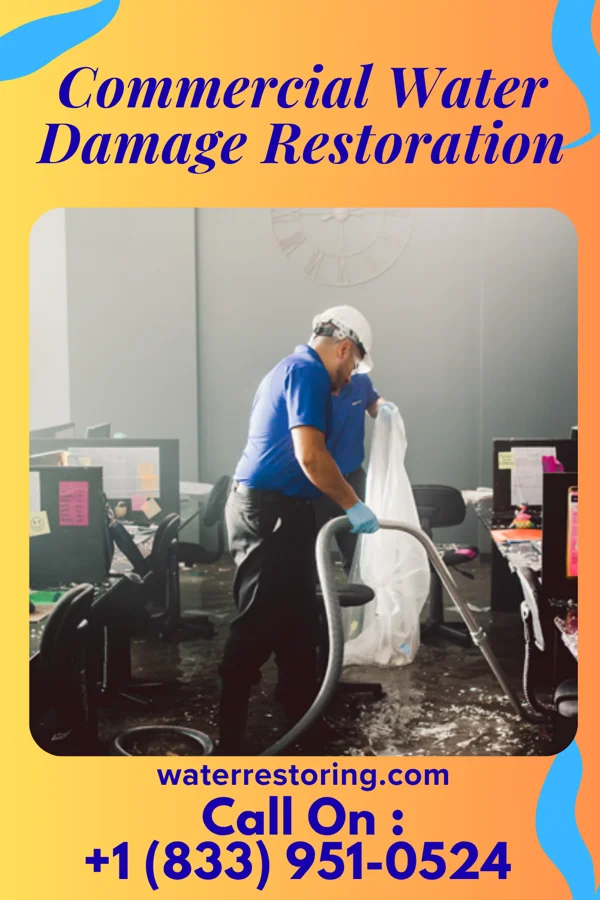 Commercial Water Damage Restoration in Springer, OK