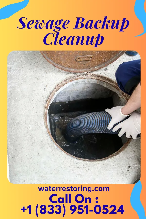 Sewage Backup Cleanup in Springer, OK