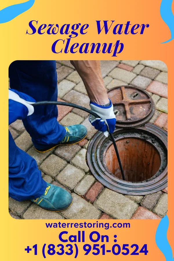 Sewage Water Cleanup in Springer, OK